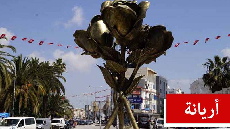 أريانة.. إستئناف الدروس الخميس باستثناء هذه المؤسسات التربوية 